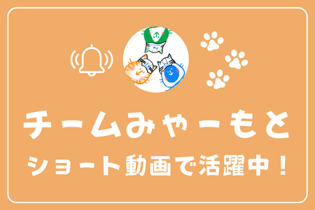 宮本建設株式会社：チームみゃーもと ショート動画で活躍中！